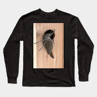 Wren building her nest Long Sleeve T-Shirt